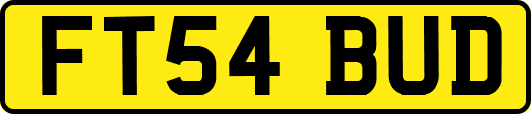 FT54BUD