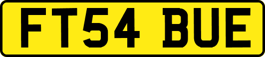 FT54BUE