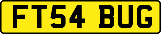 FT54BUG