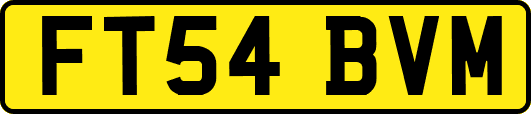 FT54BVM