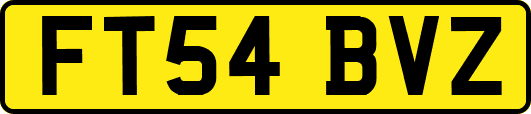 FT54BVZ