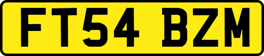 FT54BZM