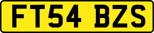 FT54BZS