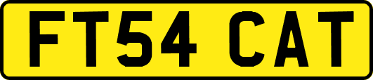 FT54CAT