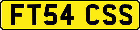 FT54CSS