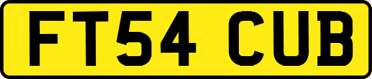 FT54CUB