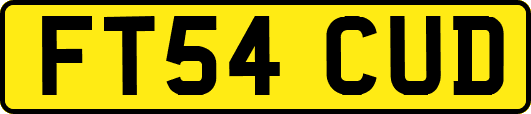 FT54CUD
