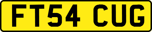 FT54CUG