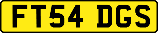 FT54DGS