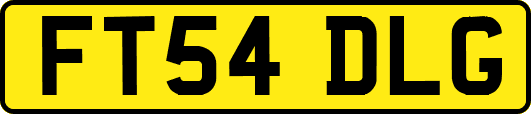 FT54DLG