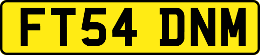 FT54DNM