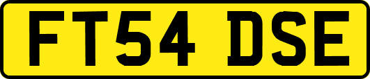 FT54DSE