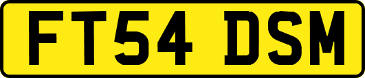 FT54DSM