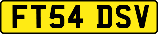 FT54DSV