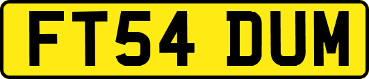 FT54DUM