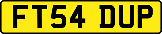 FT54DUP