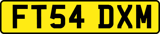 FT54DXM