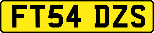 FT54DZS
