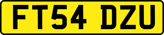 FT54DZU