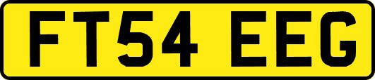 FT54EEG