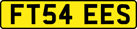 FT54EES