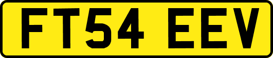 FT54EEV