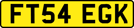 FT54EGK