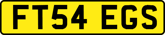 FT54EGS