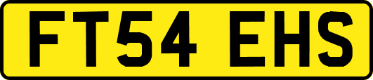 FT54EHS