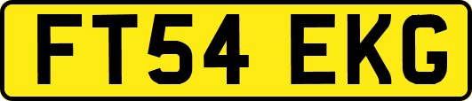 FT54EKG