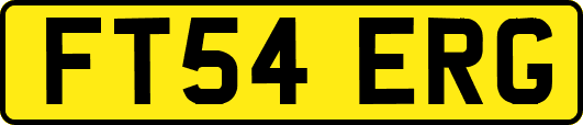 FT54ERG