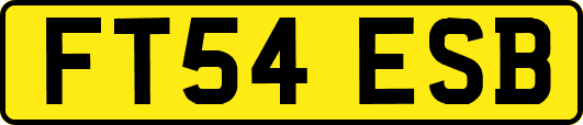 FT54ESB