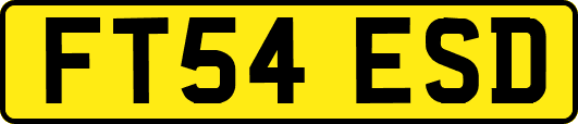 FT54ESD