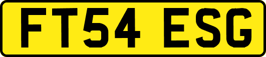 FT54ESG