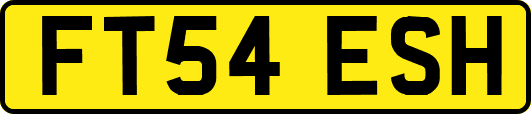 FT54ESH