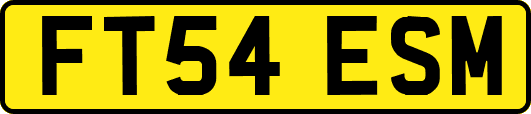 FT54ESM