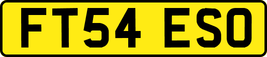 FT54ESO