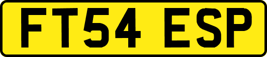 FT54ESP