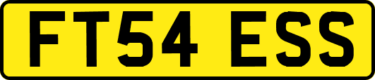 FT54ESS
