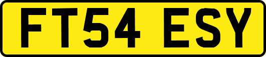 FT54ESY