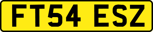 FT54ESZ