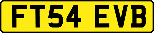 FT54EVB