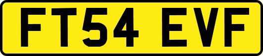 FT54EVF
