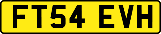 FT54EVH