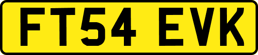 FT54EVK