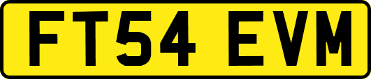 FT54EVM