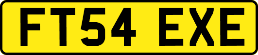 FT54EXE