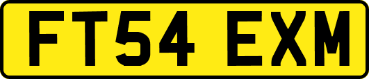FT54EXM