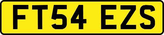 FT54EZS