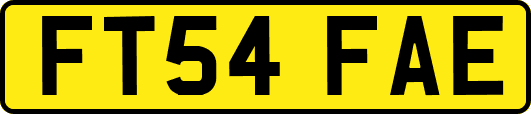 FT54FAE